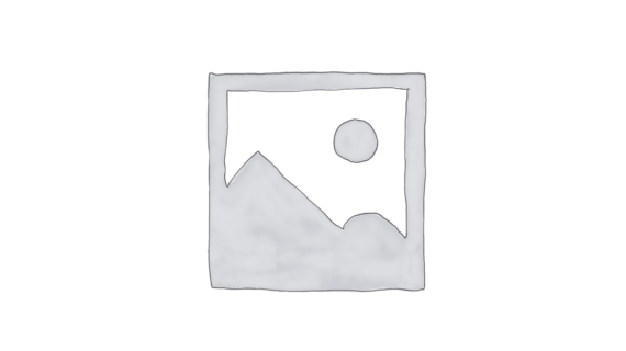 عنصر نائب Placeholder
